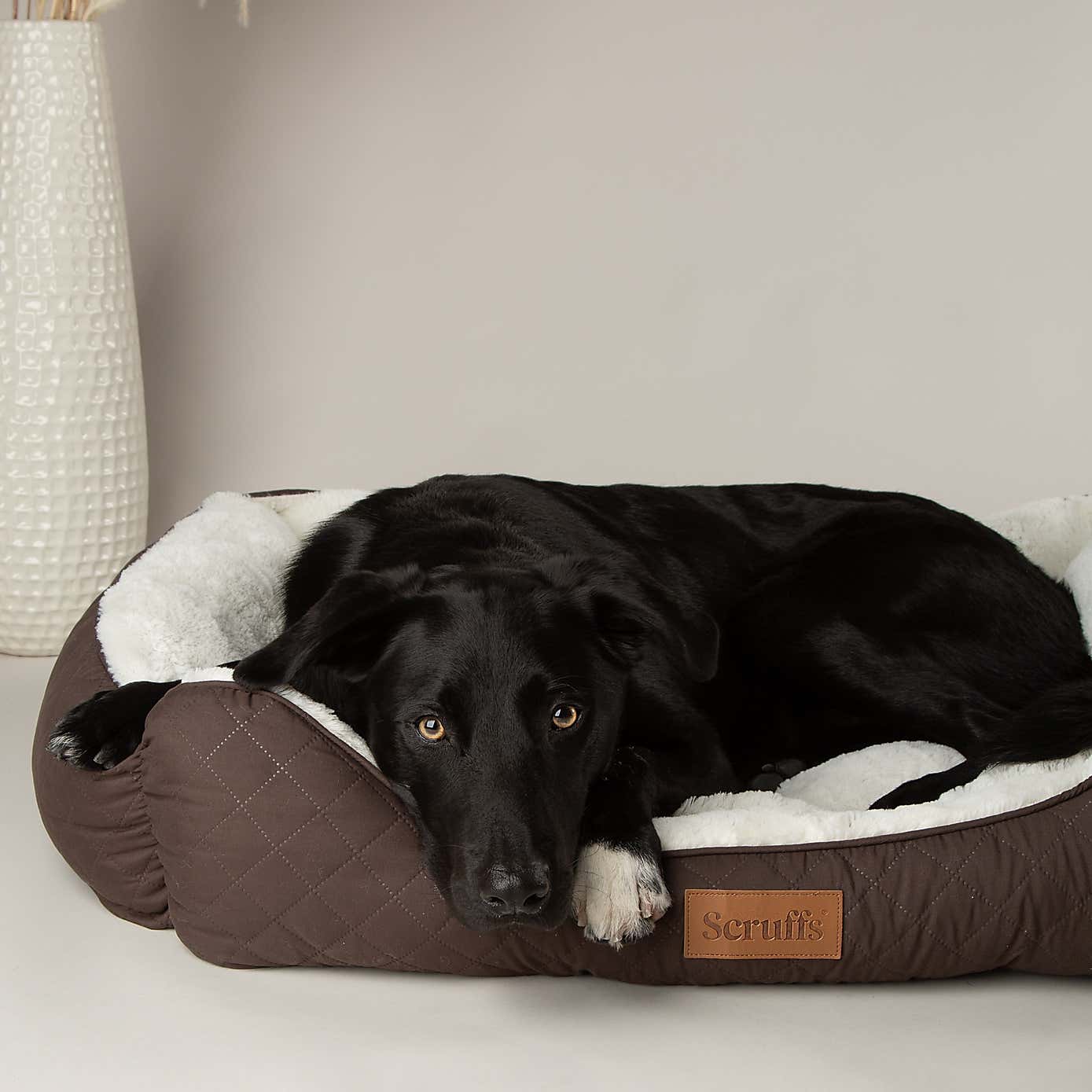 Carousel zoom image position 2 of 3