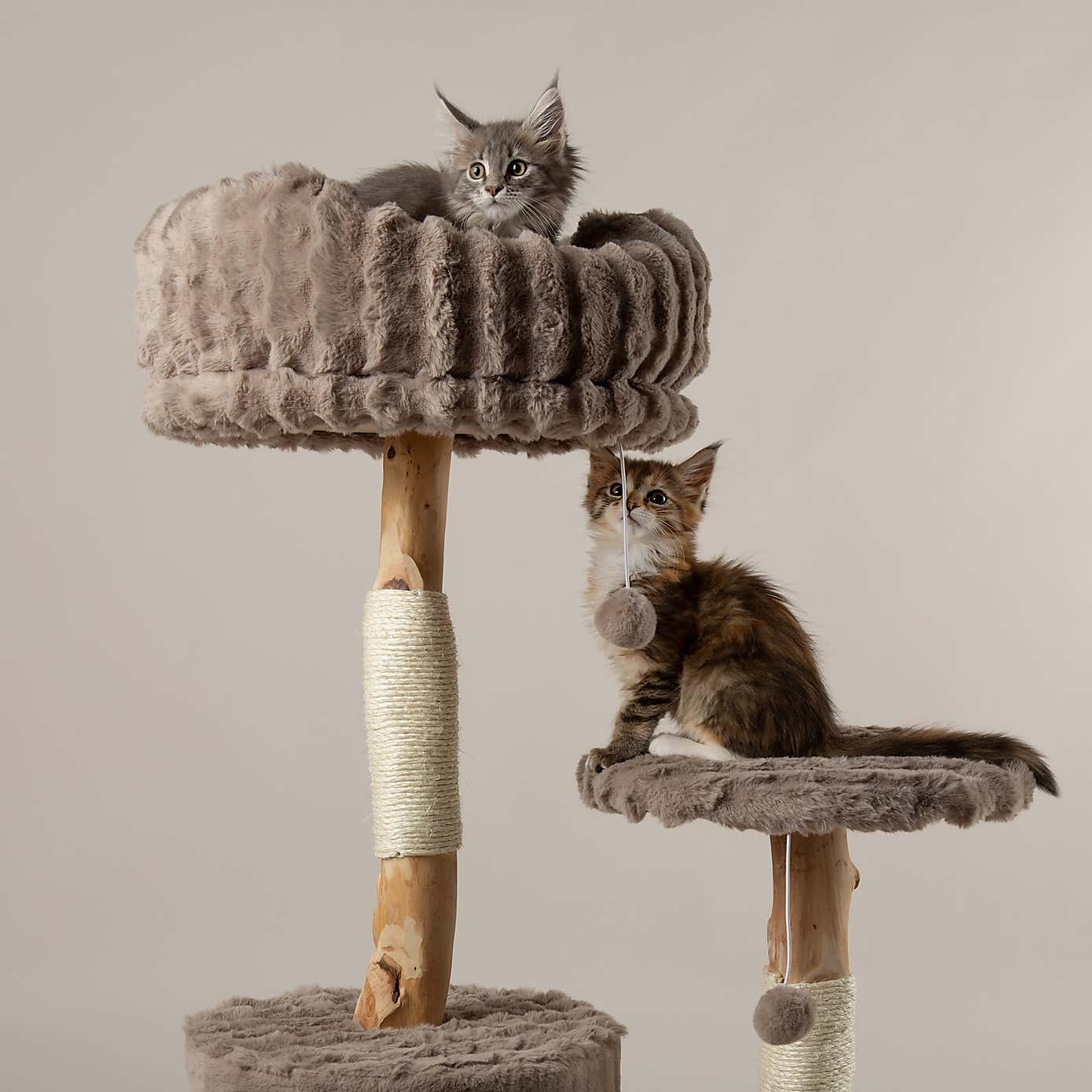 Carousel zoom image position 2 of 7