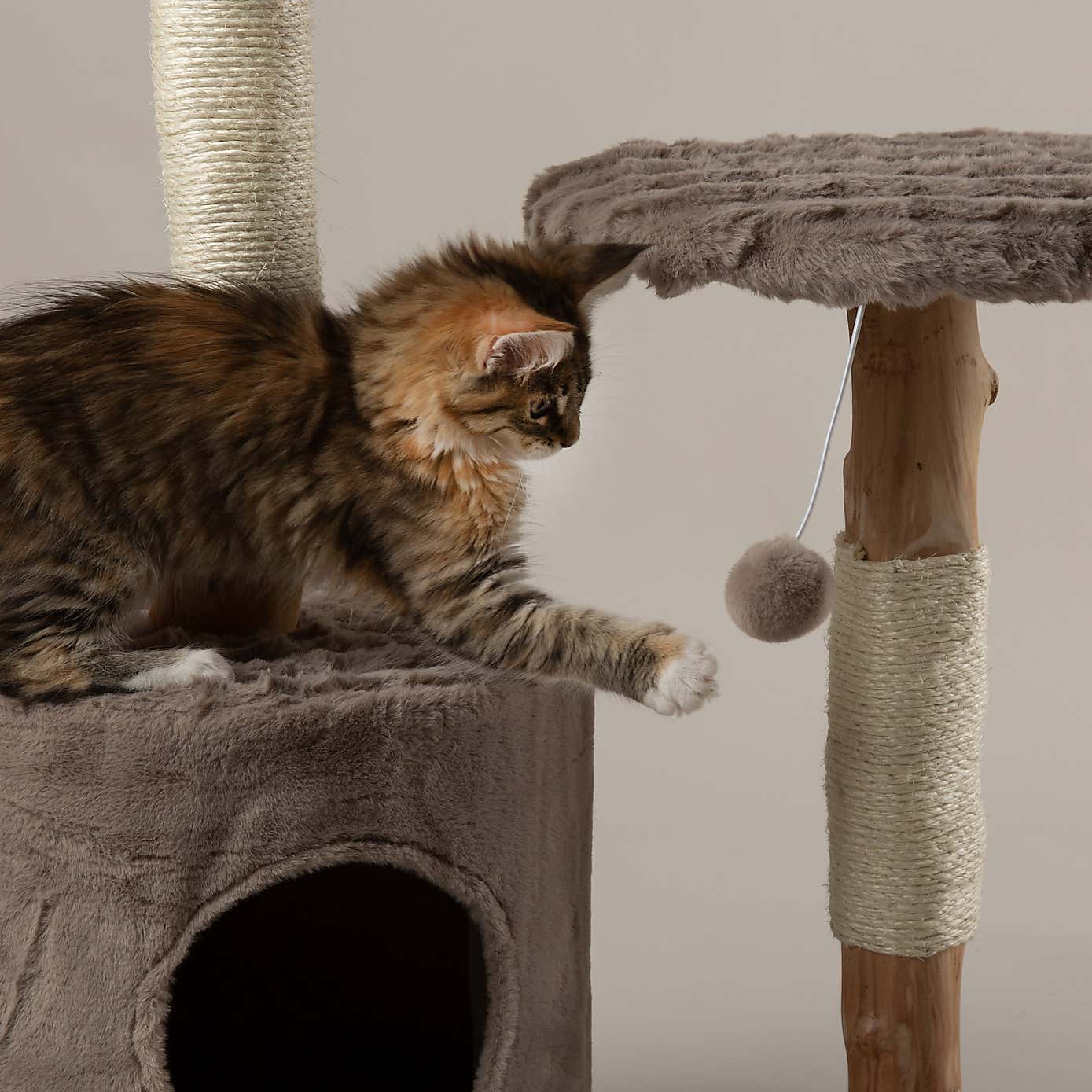 Carousel zoom image position 4 of 7