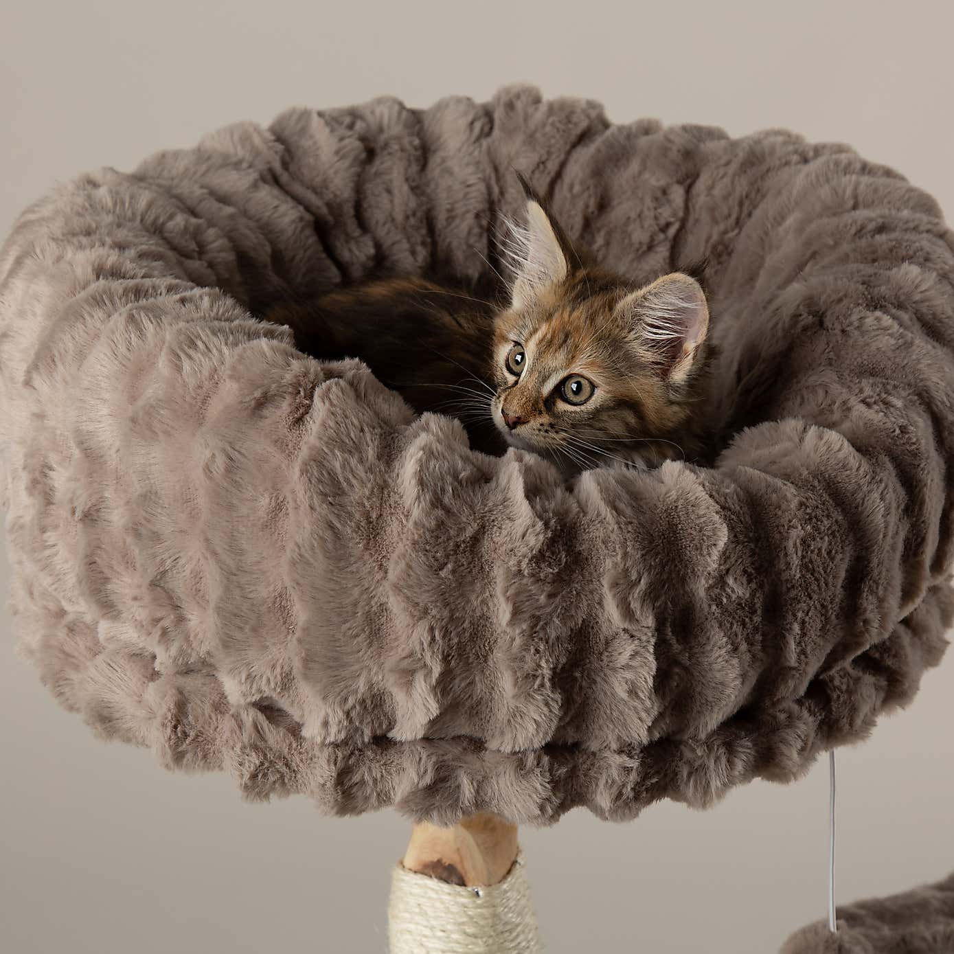 Carousel zoom image position 5 of 7