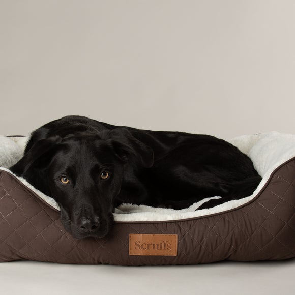 Carousel navigation image position 3 of 5