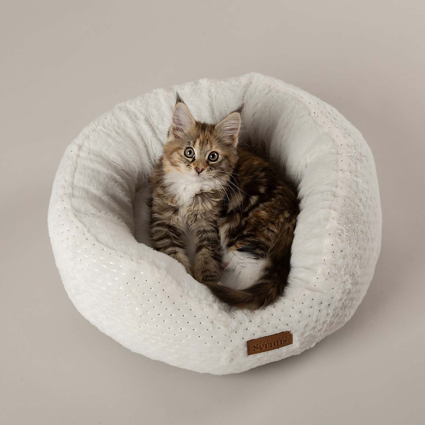 Carousel zoom image position 2 of 6