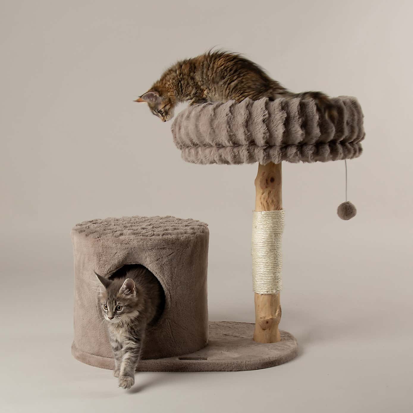 Carousel zoom image position 2 of 7