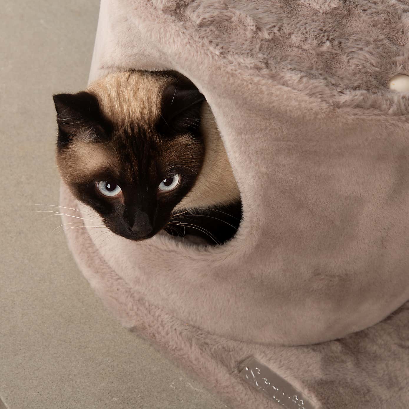 Carousel zoom image position 5 of 7