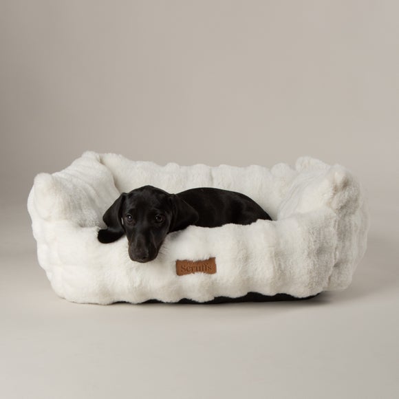 Click to view product details and reviews for Scruffs My First Bed Cloud Puppy And Kitten Calming Box Bed.