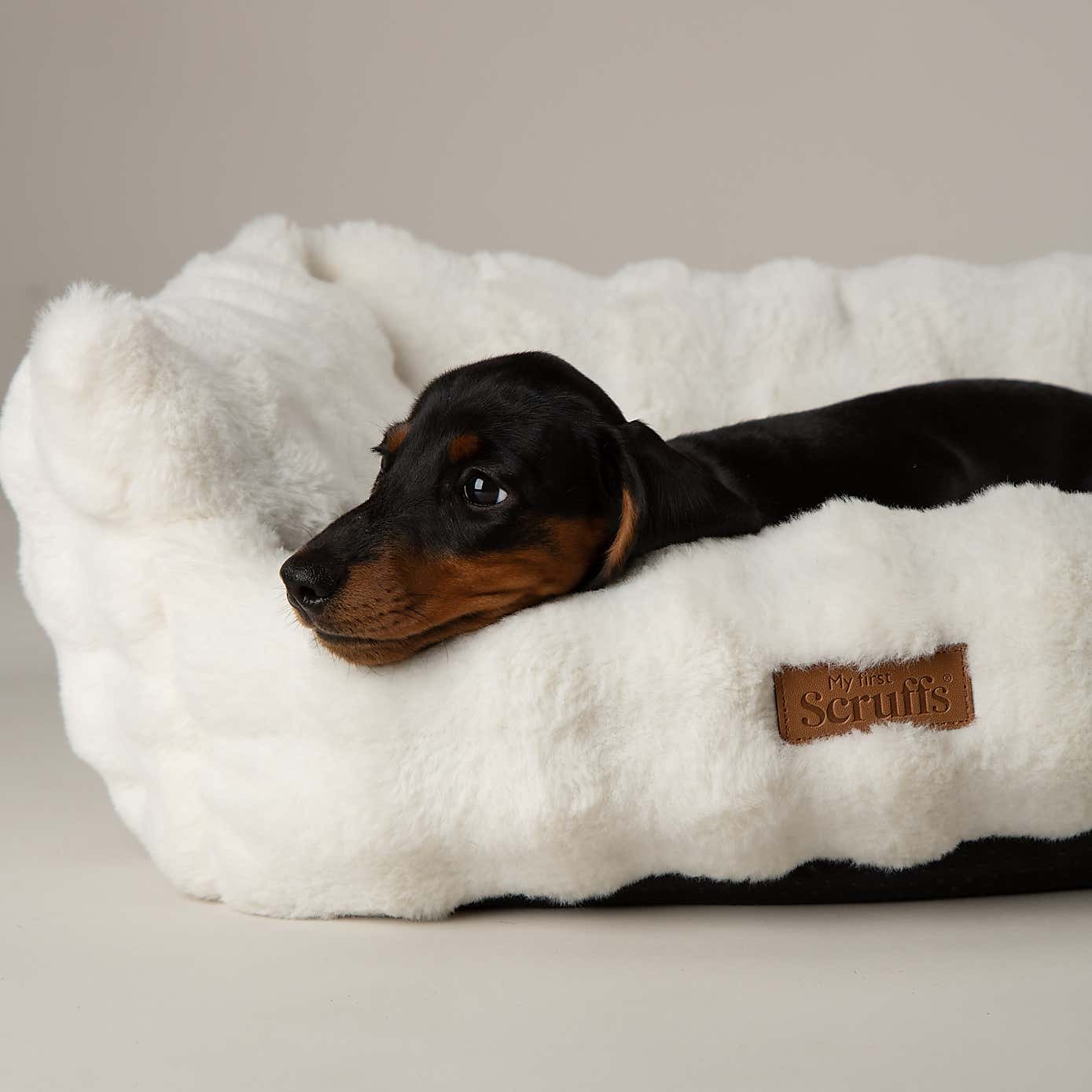 Carousel zoom image position 2 of 6