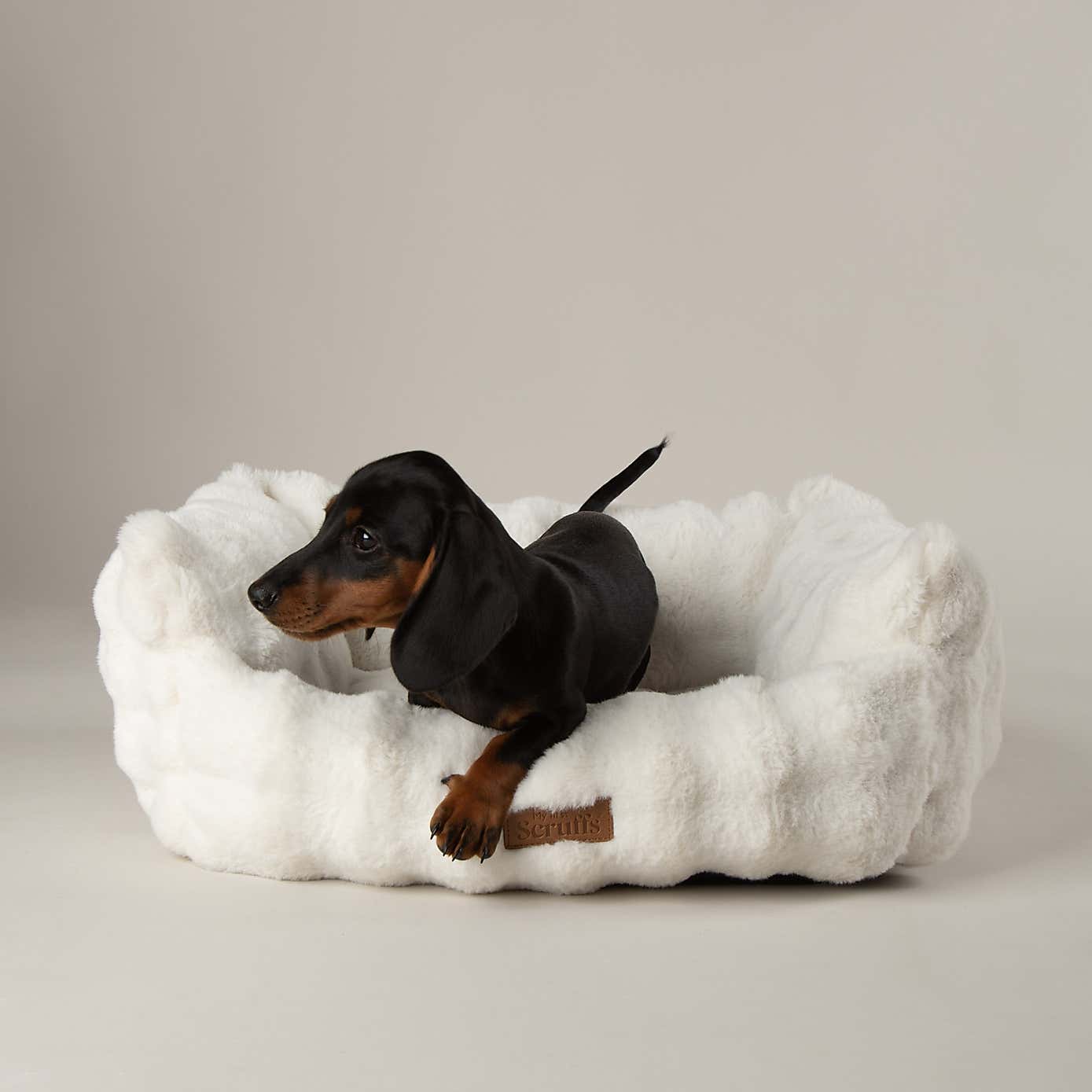 Carousel zoom image position 3 of 6