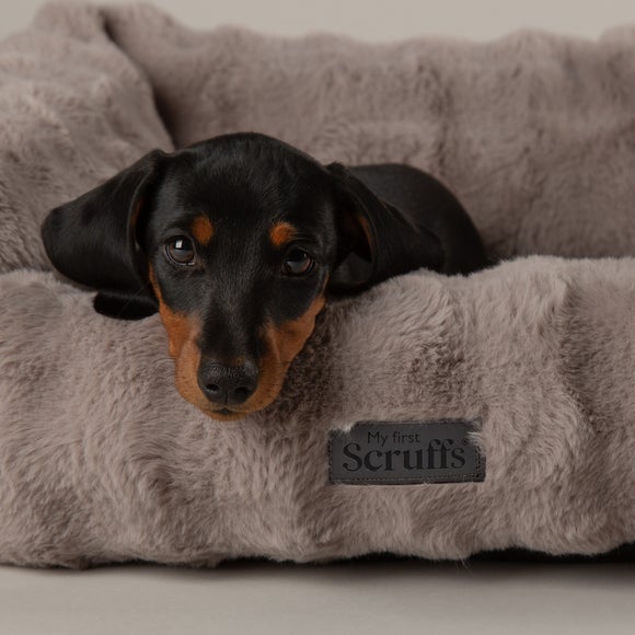 Carousel navigation image position 2 of 7