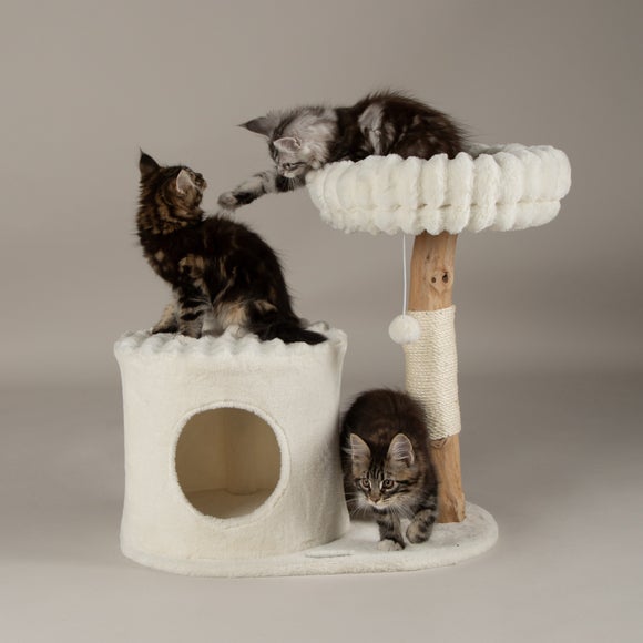 Scruffs Himalayas Cat Scratching Tree