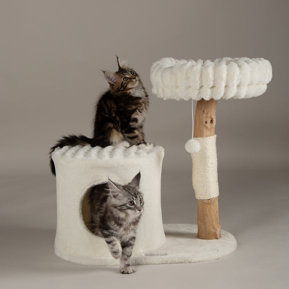 Carousel navigation image position 2 of 7