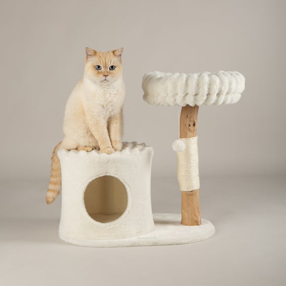 Carousel navigation image position 3 of 7