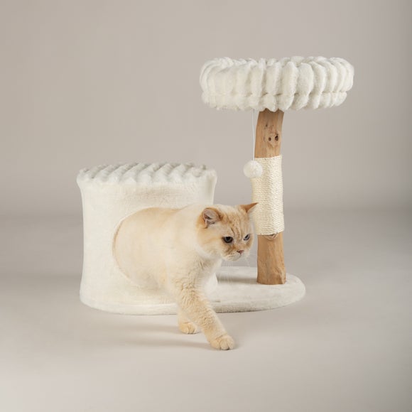 Carousel navigation image position 4 of 7