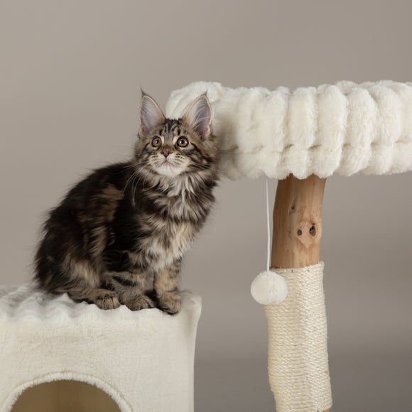 Carousel navigation image position 5 of 7