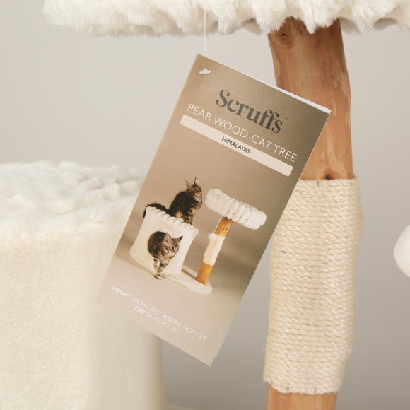 Carousel navigation image position 6 of 7