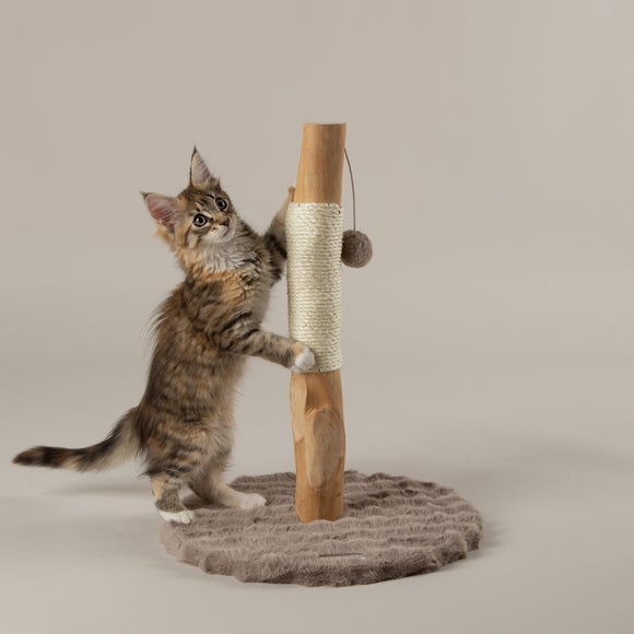 Scruffs Andes Cat Scratching Tree