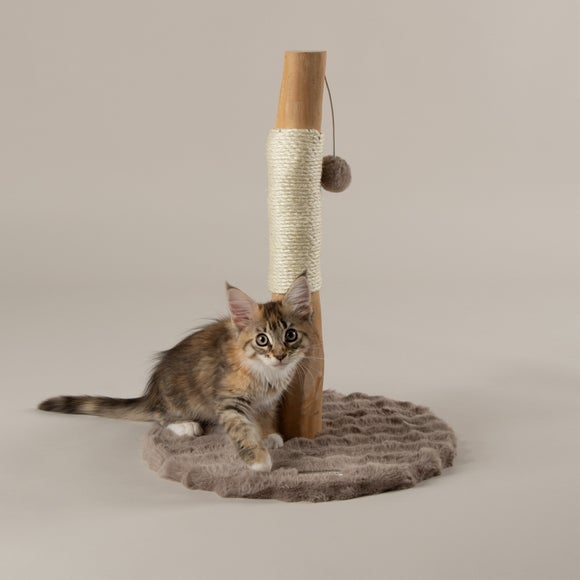 Carousel navigation image position 3 of 5