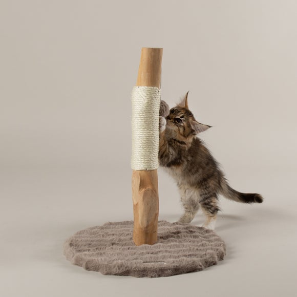 Carousel navigation image position 4 of 5