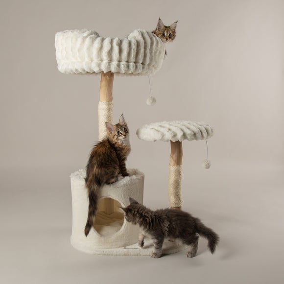 Scruffs Colorado Cat Scratching Tree