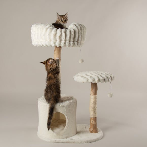 Carousel navigation image position 2 of 8