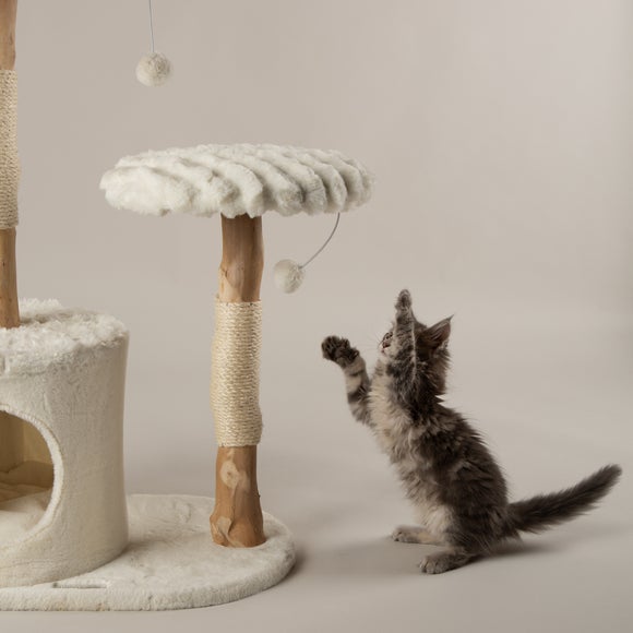 Carousel navigation image position 4 of 8