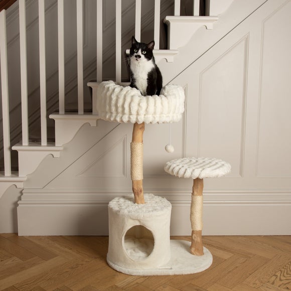 Carousel navigation image position 5 of 8