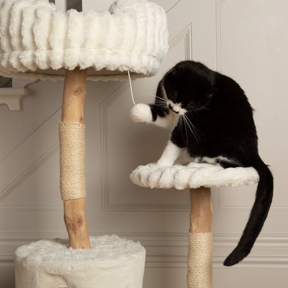 Carousel navigation image position 6 of 8