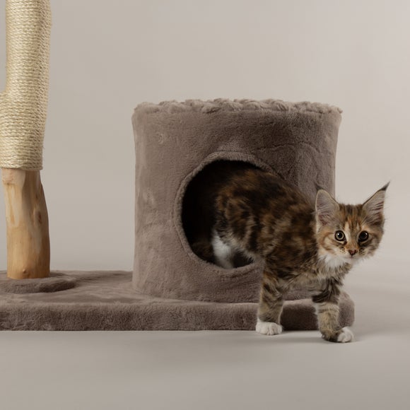 Carousel navigation image position 4 of 8