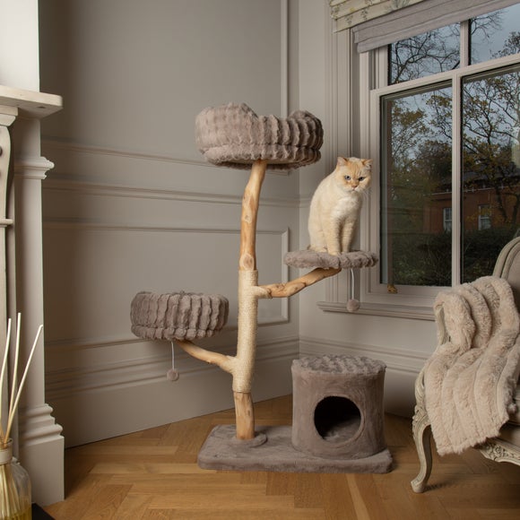 Carousel navigation image position 6 of 8