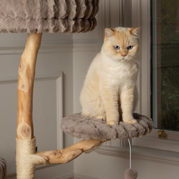 Carousel navigation image position 7 of 8