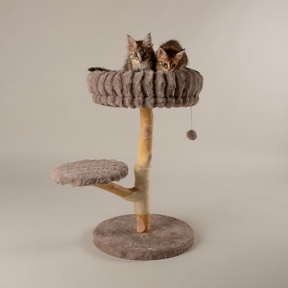 Photo of Scruffs Atlas Cat Scratching Tree