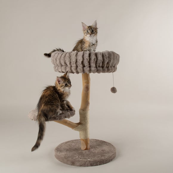 Carousel navigation image position 2 of 7