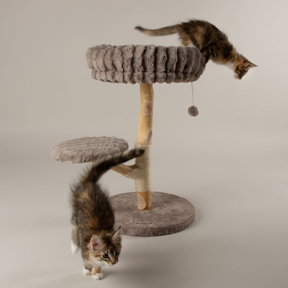 Carousel navigation image position 3 of 7