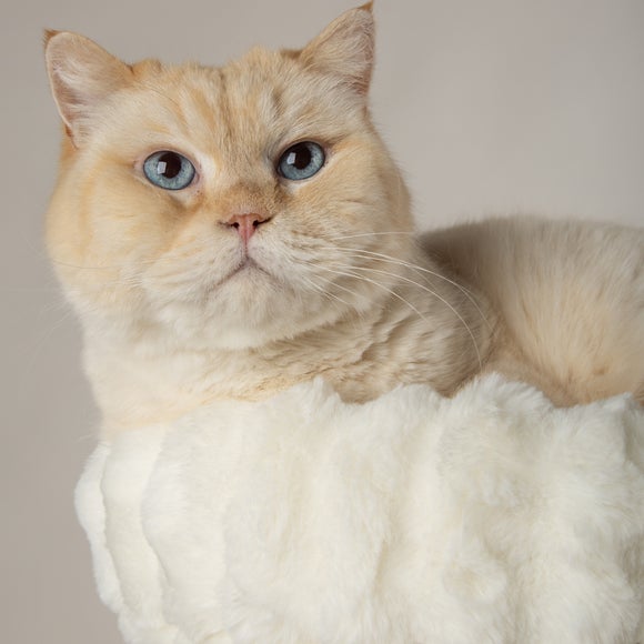 Carousel navigation image position 3 of 7