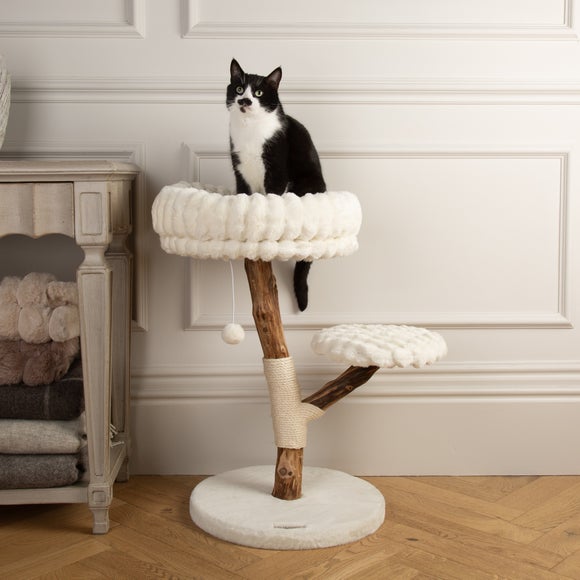 Carousel navigation image position 4 of 7