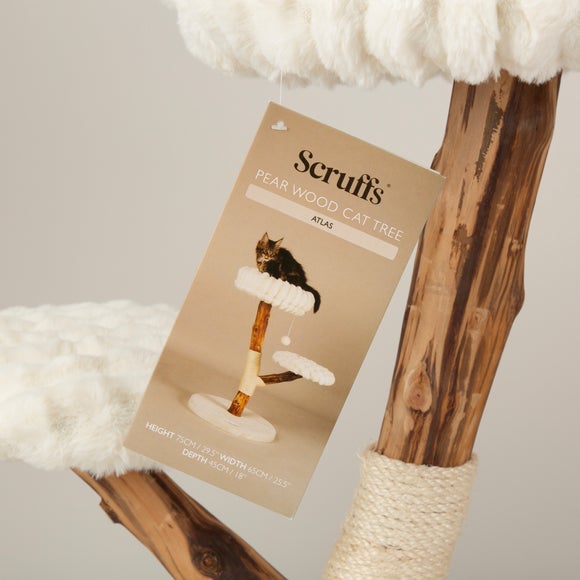 Carousel navigation image position 6 of 7