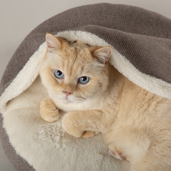 Carousel navigation image position 2 of 5