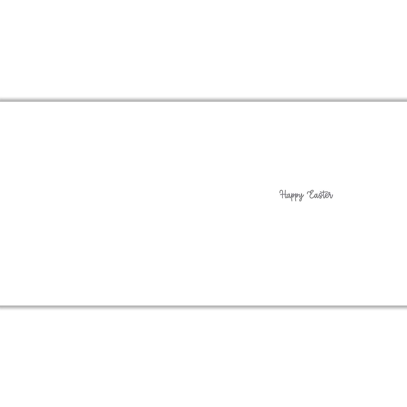 Carousel zoom image position 2 of 2