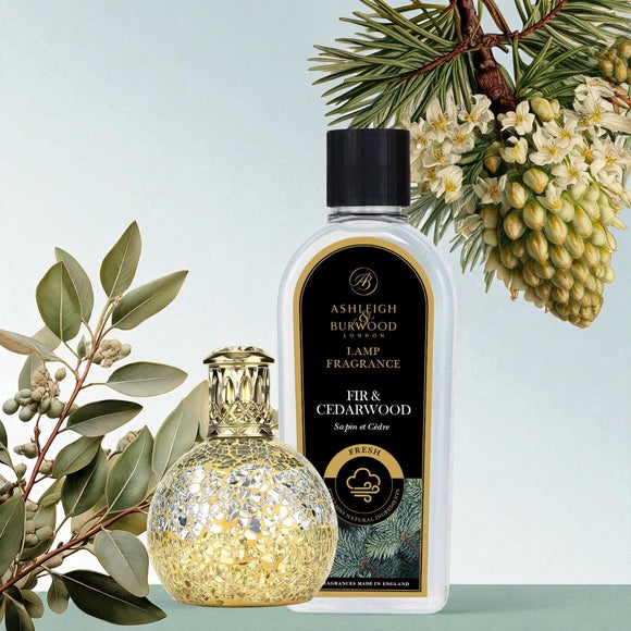 Carousel navigation image position 5 of 5