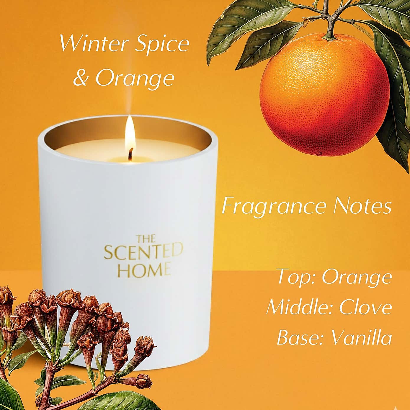 Carousel zoom image position 3 of 5