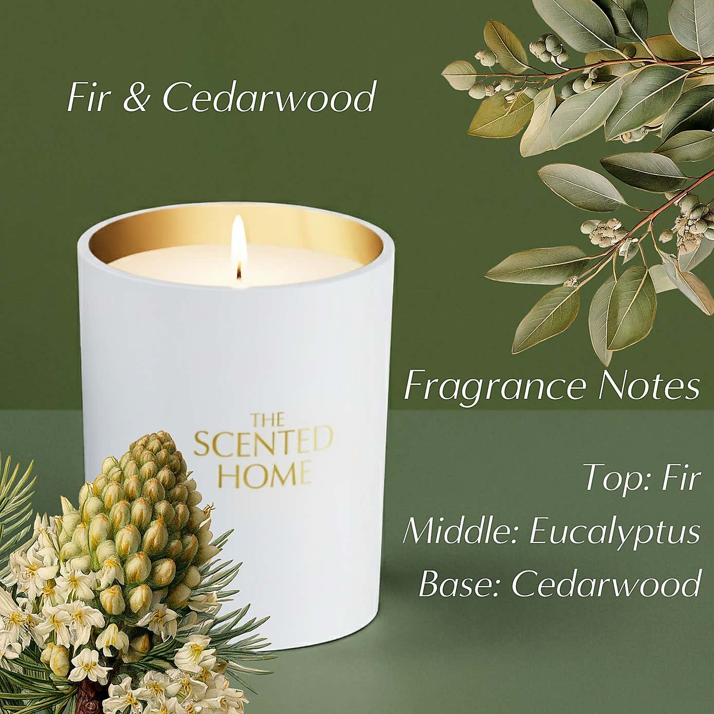 Carousel zoom image position 5 of 5