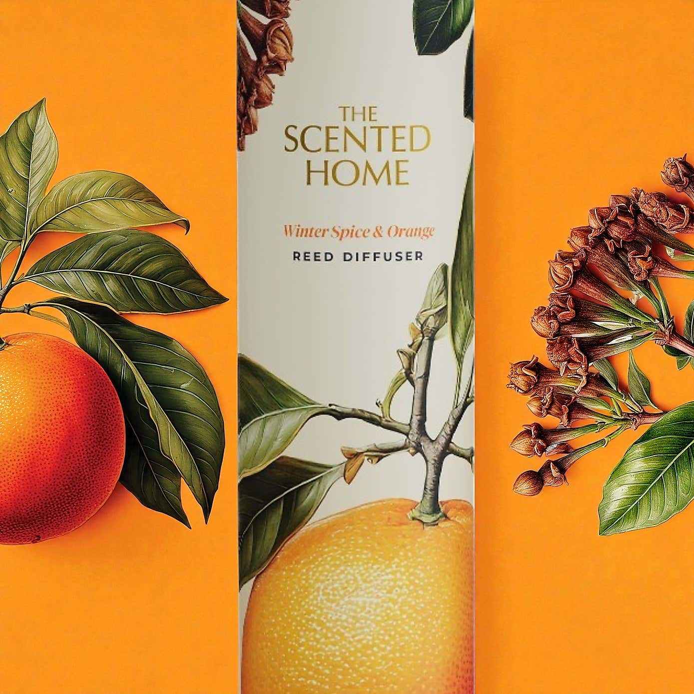 Carousel zoom image position 4 of 5