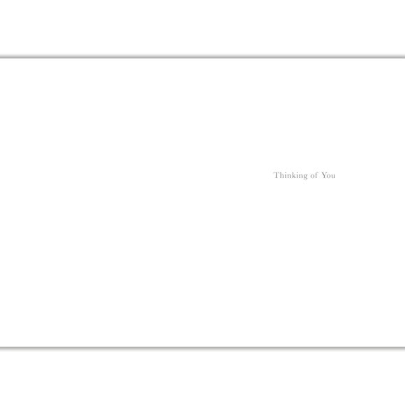 Carousel navigation image position 2 of 2