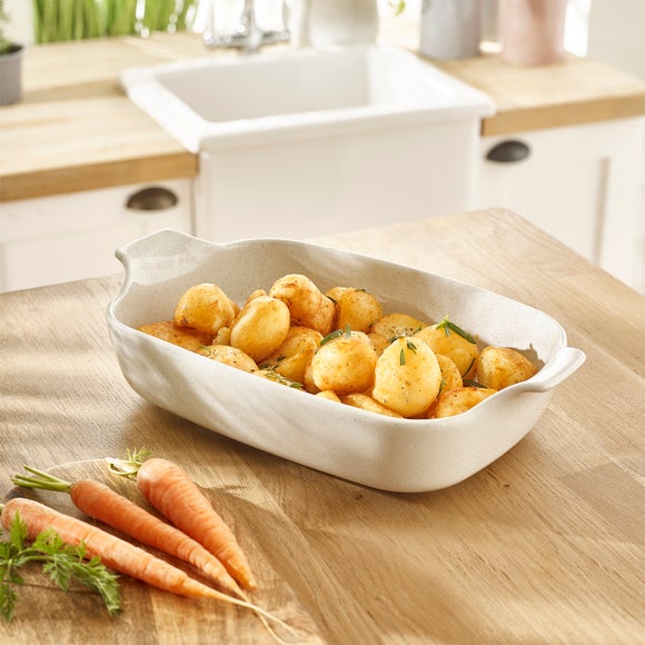 Speckle Rectangle Roasting Dish