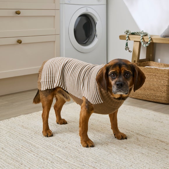 Striped Dog Jumper