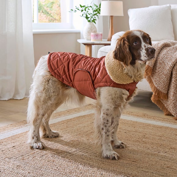 Quilted Dog Coat