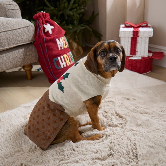 Christmas Pudding Pet Jumper