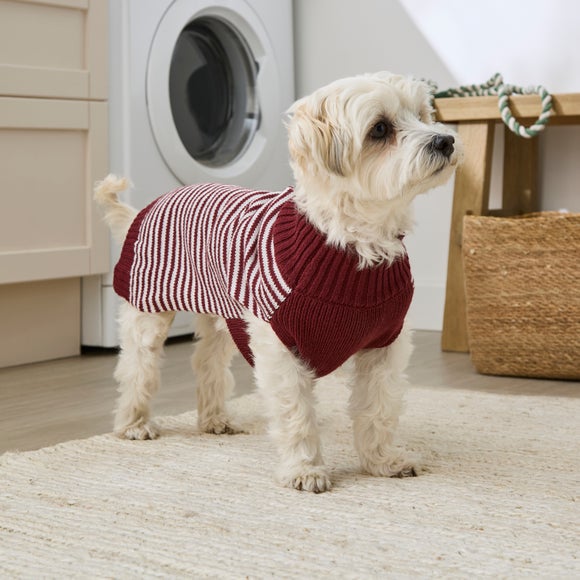 Striped Dog Jumper
