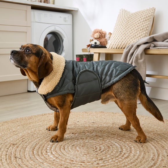 Quilted Dog Coat