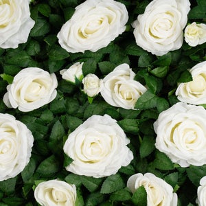 Set Of 2 Rose & Foliage Flower Backdrop Panels