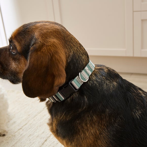 Stripe Dog Collar